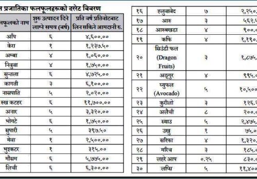 बूढीगण्डकी आयोजना प्रभावितले पाउने भए घरगोठ र फलफूलको क्षतिपूर्ति (यस्तो छ,फलफूलको दररेट)