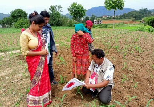 चुनावी प्रचारप्रसार : खेतबारीदेखि सामाजिक सञ्जालसम्म