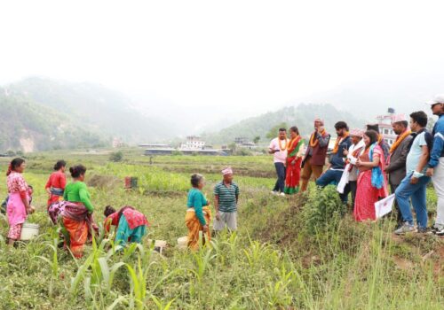 मतदाता भेटघाटमा व्यस्त एमालेका उम्मेदवारहरु