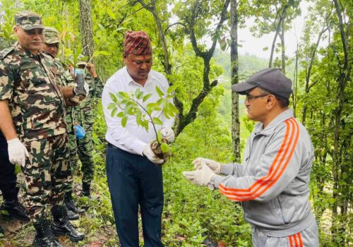 वृक्षारोपण दिवसको अवसरमा धादिङको विभिन्न स्थानमा वृक्षारोपण