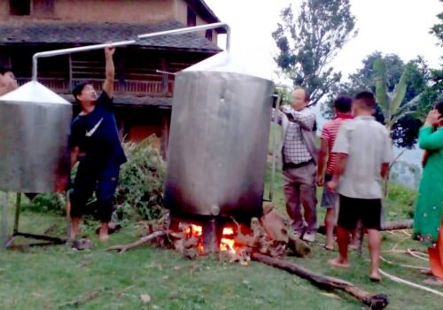 धादिङमा तितेपाती र गाईतिहारेको तेल उत्पादन सुरु