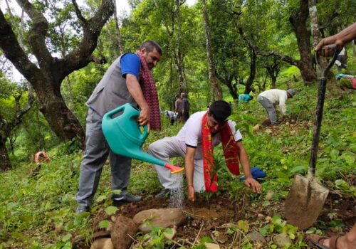 सामुदायिक वन दिवसको अवसरमा धादिङमा बृक्षरोपण