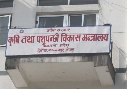 बागमती प्रदेशमा कृषिमा ७० करोडको बीउ पुँजी
