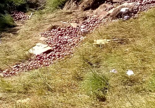 जुम्लामा स्याउ बोकेको ट्रक दुर्घटना, एकको मृत्यु