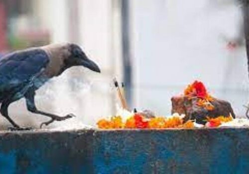 हिन्दु नेपालीहरुको दोस्रो ठुलो चाड तिहार  सुरु,आज काग तिहार मनाइँदै