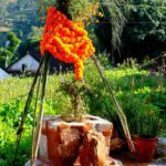 आज हरि बोधिनी एकादशी: घरमा रोपिएको तुलसीलाई दामोदरसँग विवाह गरिँदै