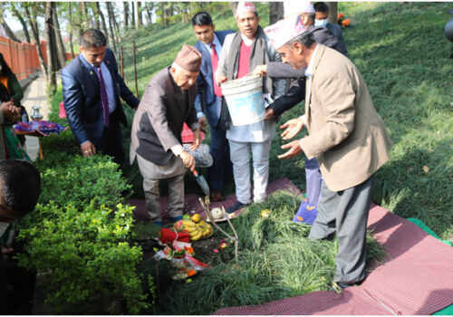 राष्ट्रपति पौडेलद्वारा वनकालीमा वृक्षरोपण