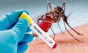 धादिङमा डेंगु सक्रमित हुनेको संख्या २ हजार ४८८ पुग्यो, आज ३५ जनामा संक्रमण