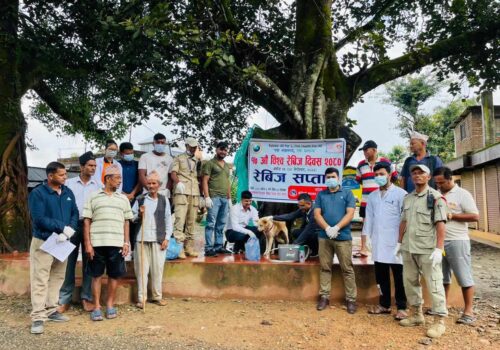 १७ औँ विश्व रेविज दिवसको अवसरमा सप्ताहव्यापी खोप अभियान सुरु