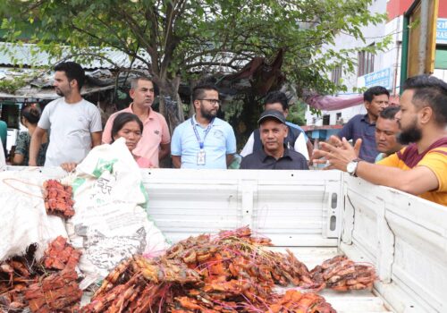 राजमार्ग क्षेत्रमा बजार अनुगमन तिव्र,मलेखुको माछा अखाद्य बस्तु मिसावट