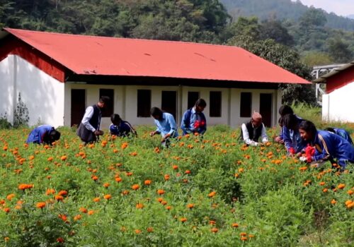 व्यावहारिक सीपका लागि ज्वालामुखी–५ स्थित बालादेवी माध्यामिक विद्यालयमा फूल खेती