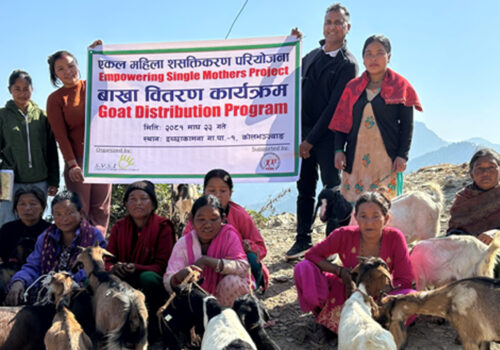 एकल चेपाङ महिलालाई बाख्रा वितरण