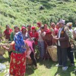 झाडी फाँडेर घाँस खेती, घरघरमा बाख्रापालन
