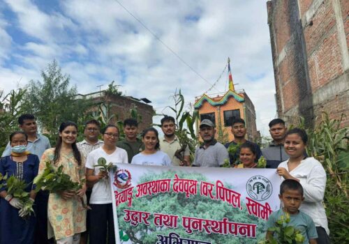 डिभिजन वन कार्यालय धादिङद्धारा देववृक्ष उद्धार तथा पुनःस्थापना अभियान सुरु