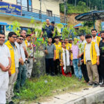 लायन्स क्लब अफ धादिङ हाईट द्वारा आदमघाट बजारक्षेत्रका सडक छेउमा बृक्षारोपण