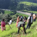 निजामती सेवा दिवसको अवसर पारेर बृक्षारोपण