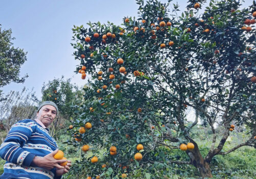 सिउँदीबारको बगैंचाबाट बद्री दाइको सन्देश: “विदेश होइन, स्वदेशमै छ अपार सम्भावना”