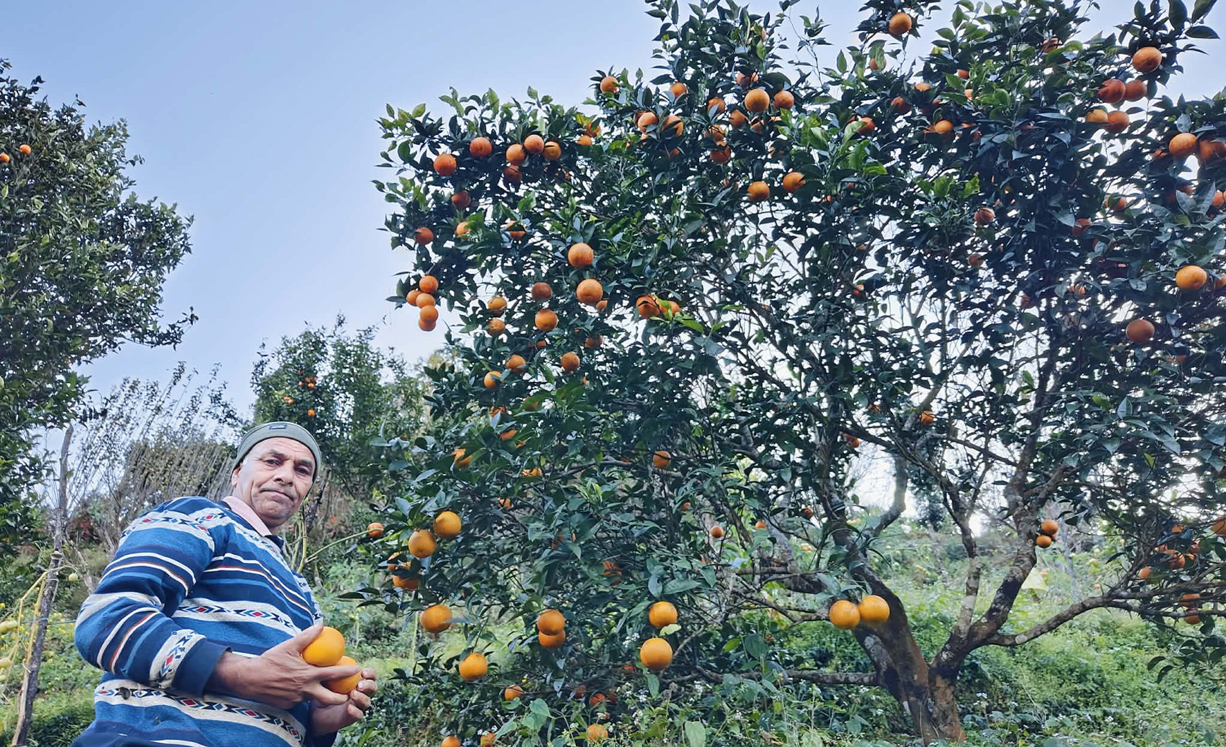 सिउँदीबारको बगैंचाबाट बद्री दाइको सन्देश: “विदेश होइन, स्वदेशमै छ अपार सम्भावना”