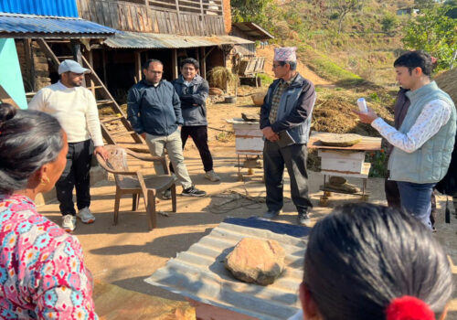 ज्वालामुखीमा स्वाँरा सघनको परियोजनाको कार्यप्रगति समीक्षा, विज्ञ टोलीद्वारा फिल्ड अवलोकन